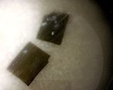 酢味噌マヨが斬新☆ほたるいかのちらし寿司作り方1写真