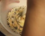 旨塩ごまごまわかめカップケーキ作り方4写真