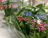 簡単過ぎる焼肉屋さんのサラダ作り方1写真