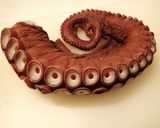 ミズダコとネギのペペロンチーノ作り方1写真
