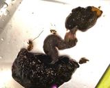 ✨アメフラシ塩茹で❀生姜醤油添え✨作り方2写真