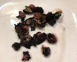 ✨アメフラシ塩茹で❀生姜醤油添え✨作り方4写真