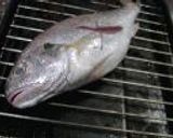 塩焼きいしもち（魚）のニラだれ作り方3写真