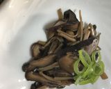 きのこ類を死なせない方策作り方12写真