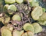 そら豆ガーリック塩昆和え作り方2写真
