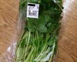 葉わさびのおひたし作り方1写真