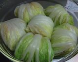 レンジDE簡単✰豆腐と鮭の白菜ロール作り方9写真