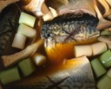 サバのコチュジャン煮作り方3写真