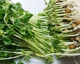 豆苗の生ハム巻き作り方1写真
