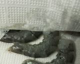 酢豚しゃないよっ♪酢えび作り方1写真