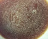 酢豚しゃないよっ♪酢えび作り方4写真