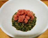 犬ご飯　健康一番×馬肉×ケイズマイスター作り方3写真