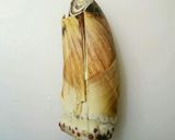 簡単！たけのこの下処理作り方1写真