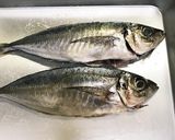 春キャベツで旬旬アクアパッツア作り方5写真