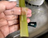 ふきの炒め物作り方3写真