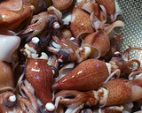 ◆旬のホタルイカとウルイの和え物◆作り方1写真