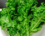 ワサビ菜のかき揚げ作り方1写真