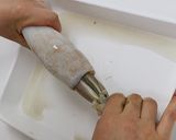 ご飯のおとも　イカの塩辛作り方1写真