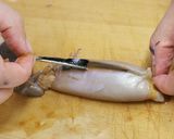 ご飯のおとも　イカの塩辛作り方3写真
