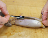 ご飯のおとも　イカの塩辛作り方3写真