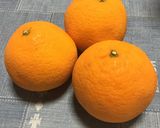 【柔らか】レモン＆清見オレンジピール作り方3写真