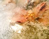 レバーショウガ煮作り方2写真