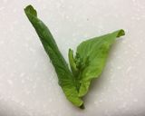 小松菜の花と海苔の胡麻和え作り方4写真