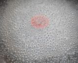 手早く簡単＊フキの下処理作り方6写真