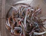春のかき揚げ♪いかなごと新玉ねぎ作り方1写真