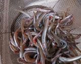 春のかき揚げ♪いかなごと新玉ねぎ作り方1写真