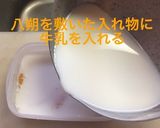 八朔の牛乳寒天作り方8写真
