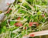 簡単！豆腐とカイワレの梅かつお作り方4写真