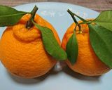 デコポン(皮)ジャム 材料３つ10分以内作り方1写真