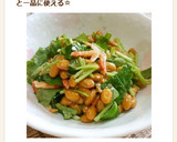 三つ葉と桜えびの納豆あえ☆柚子胡椒風味♪作り方7写真