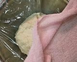 フランスパン用強力粉でナン作り方11写真