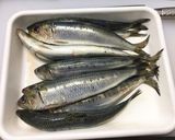 鰯のお刺身&鰯のマリネ作り方1写真