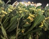 のらぼう菜とエリンギのおひたし作り方1写真