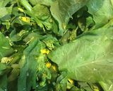 菜の花のりんごドレッシング和え作り方6写真