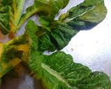 農家の食卓〜高菜の浅漬け〜作り方1写真