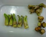 春の味覚♥たらの芽のピカタ作り方2写真