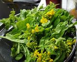 菜の花と人参の炒めもの作り方1写真