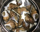簡単にできちゃう！灯台つぶの煮付け作り方2写真