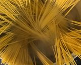 春野菜の和風パスタ作り方6写真