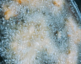 しっかり味付け☆唐揚げ風のタケノコ天ぷら作り方8写真