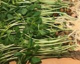 簡単！レンジで豆苗のツナ梅しそ和え作り方1写真