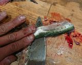 イワシのマリネを使ったサラダ作り方2写真