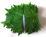 意外と簡単♪皮から作る もちっカリッ餃子作り方3写真