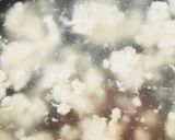 鶏そぼろと玉子のとろとろスープ作り方2写真