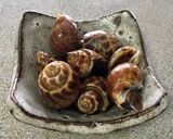 貝を柔らかく煮る方法作り方5写真