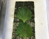 Wタマゴの磯辺タマゴ焼き作り方3写真
